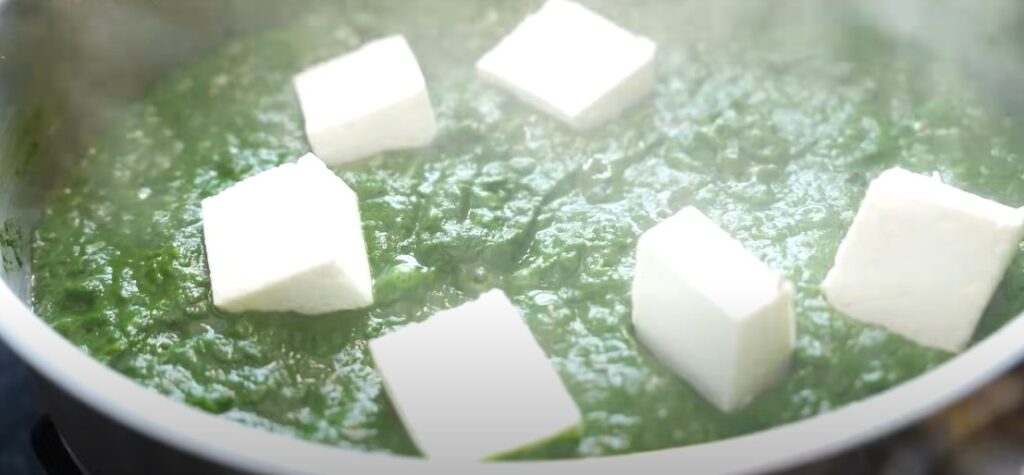 पालक प्यूरी में पनीर डालकर सब्जी बनाते हुए